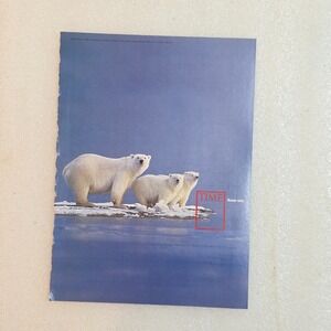 Vintage 2004 Time Magazine Print Ad Polar Bear Iceberg Arctic Ocean 8x10.5